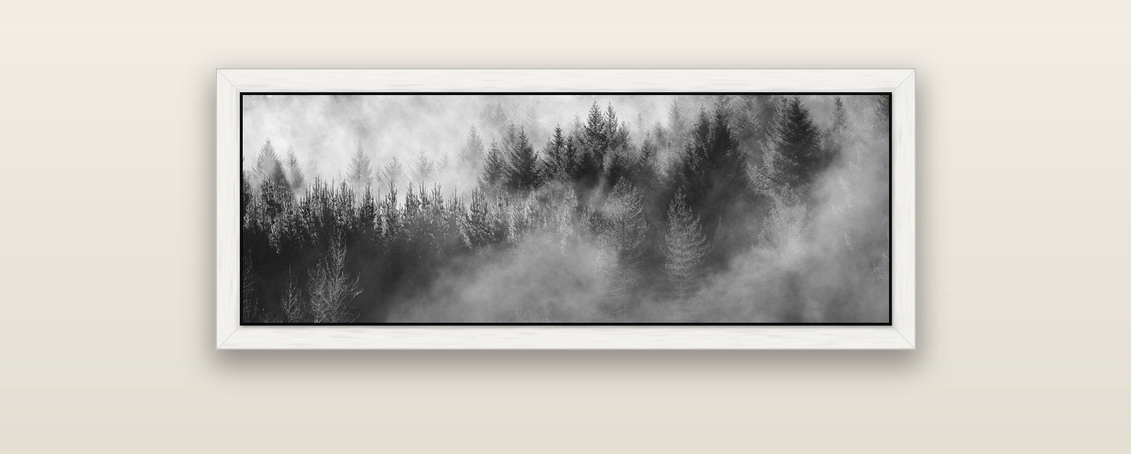 Transitions, The Redwoods — white float frame canvas, 102 × 36 cm. New Zealand fine art landscape wall art by Stephen Milner.