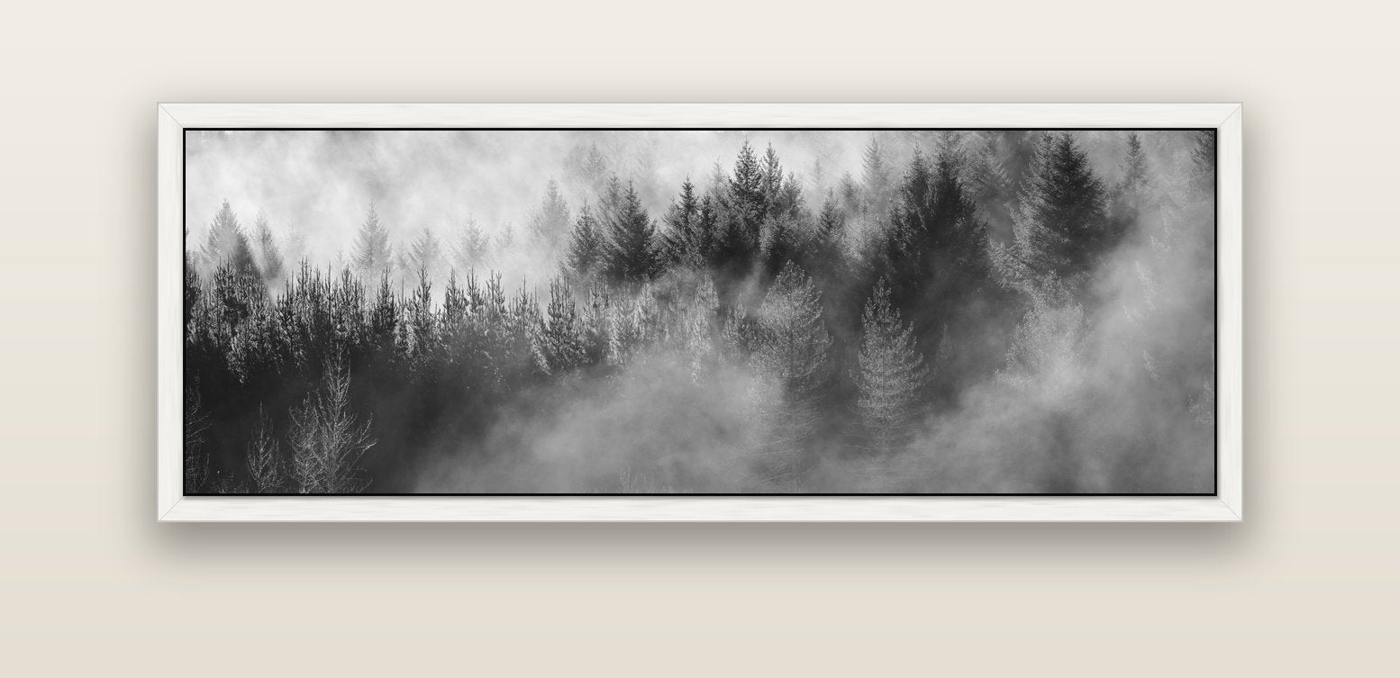 Transitions, The Redwoods — white float frame canvas, 152 × 56 cm. New Zealand fine art landscape wall art by Stephen Milner.