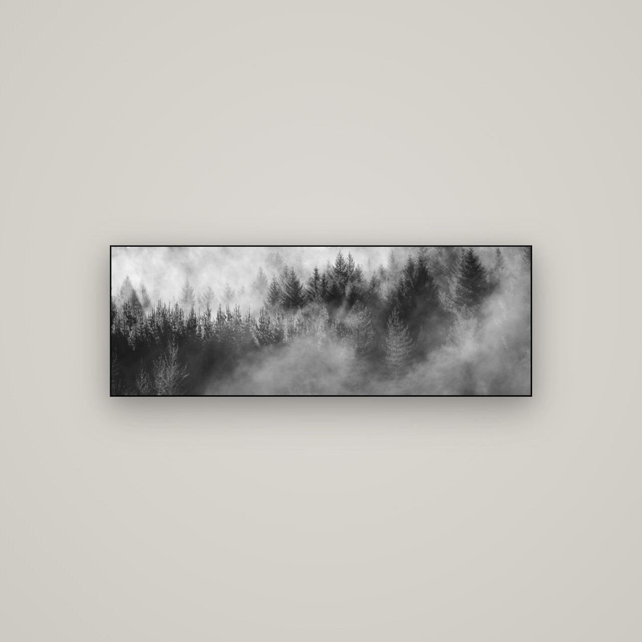 Transitions, Rotorua Redwoods — Slimline Black, 113×40 cm. New Zealand fine art wall art by Stephen Milner.