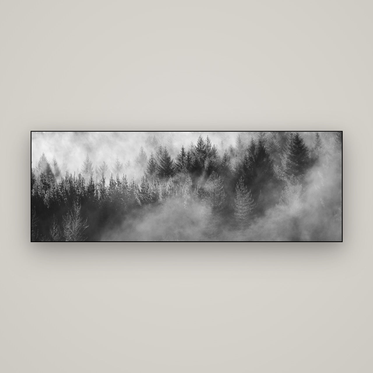 Transitions, Rotorua Redwoods — Slimline Black, 170×60 cm. New Zealand fine art wall art by Stephen Milner.