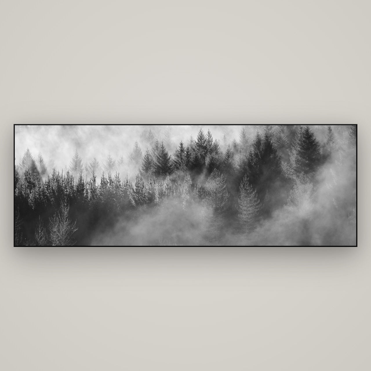 Transitions, Rotorua Redwoods — Slimline Black, 198×70 cm. New Zealand fine art wall art by Stephen Milner.
