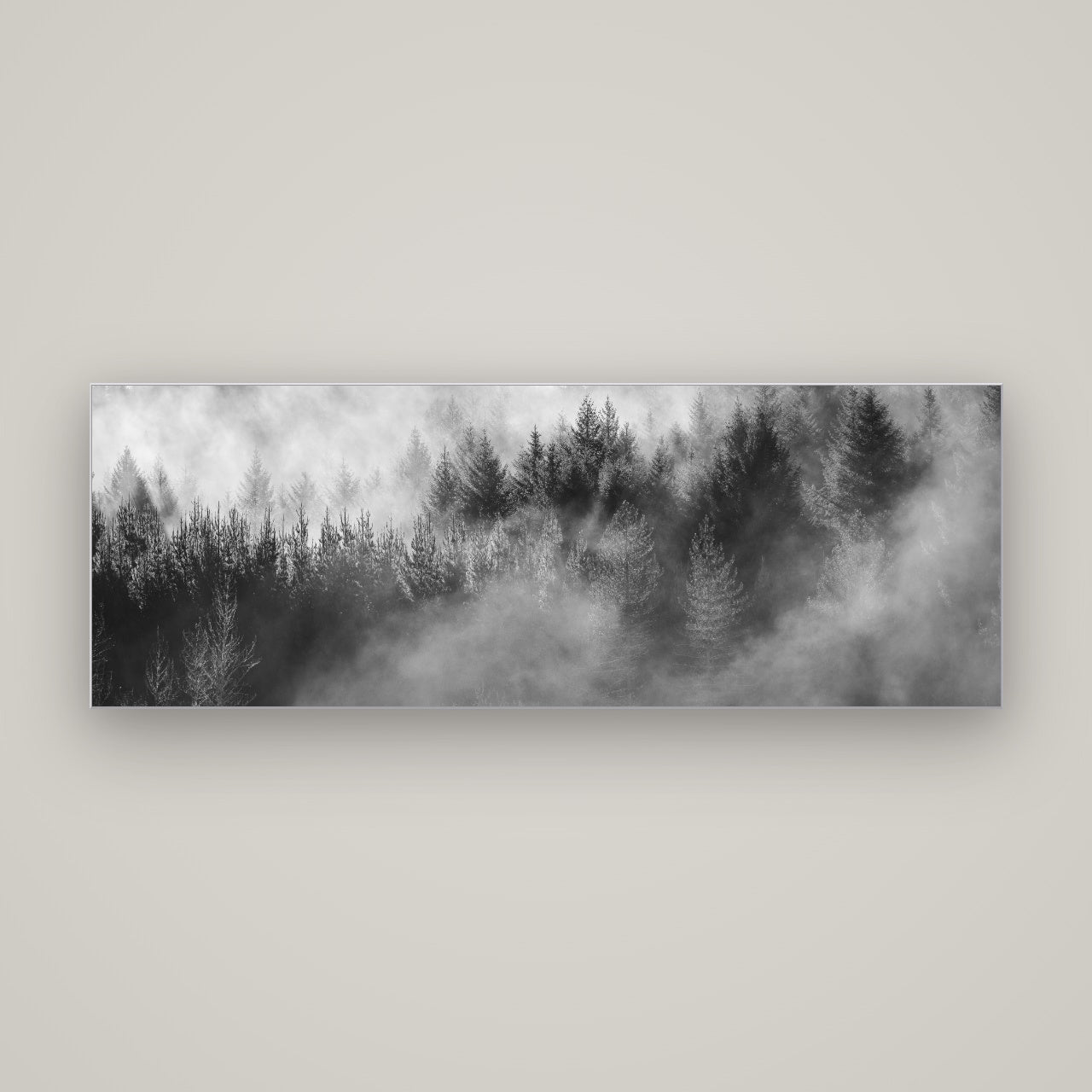 Transitions, Rotorua Redwoods — Slimline Silver, 170×60 cm. New Zealand fine art wall art by Stephen Milner.