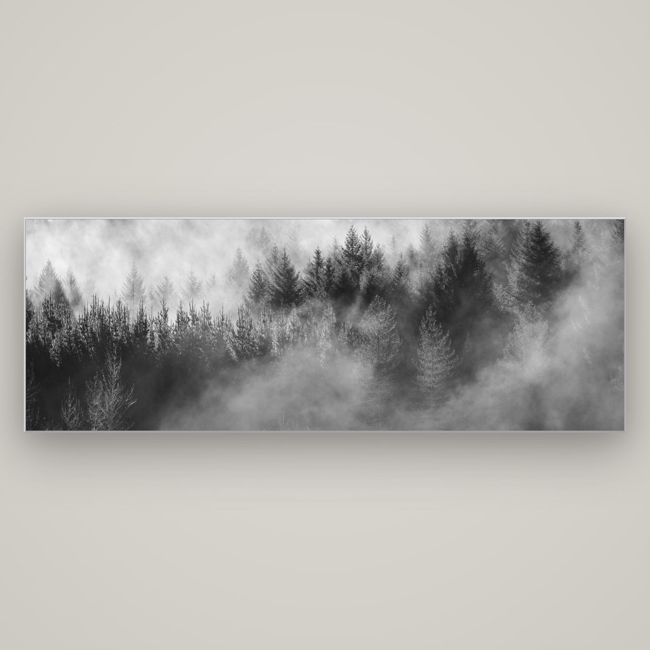 Transitions, Rotorua Redwoods — Slimline Silver, 198×70 cm. New Zealand fine art wall art by Stephen Milner.