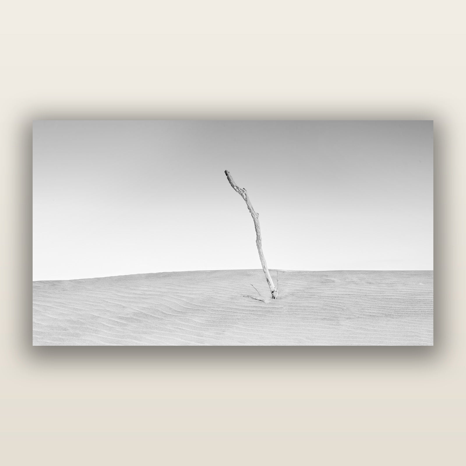 Twilight Reverie, Pouto Peninsula, black and white frameless acrylic glass print. New Zealand fine art photography by Stephen Milner.