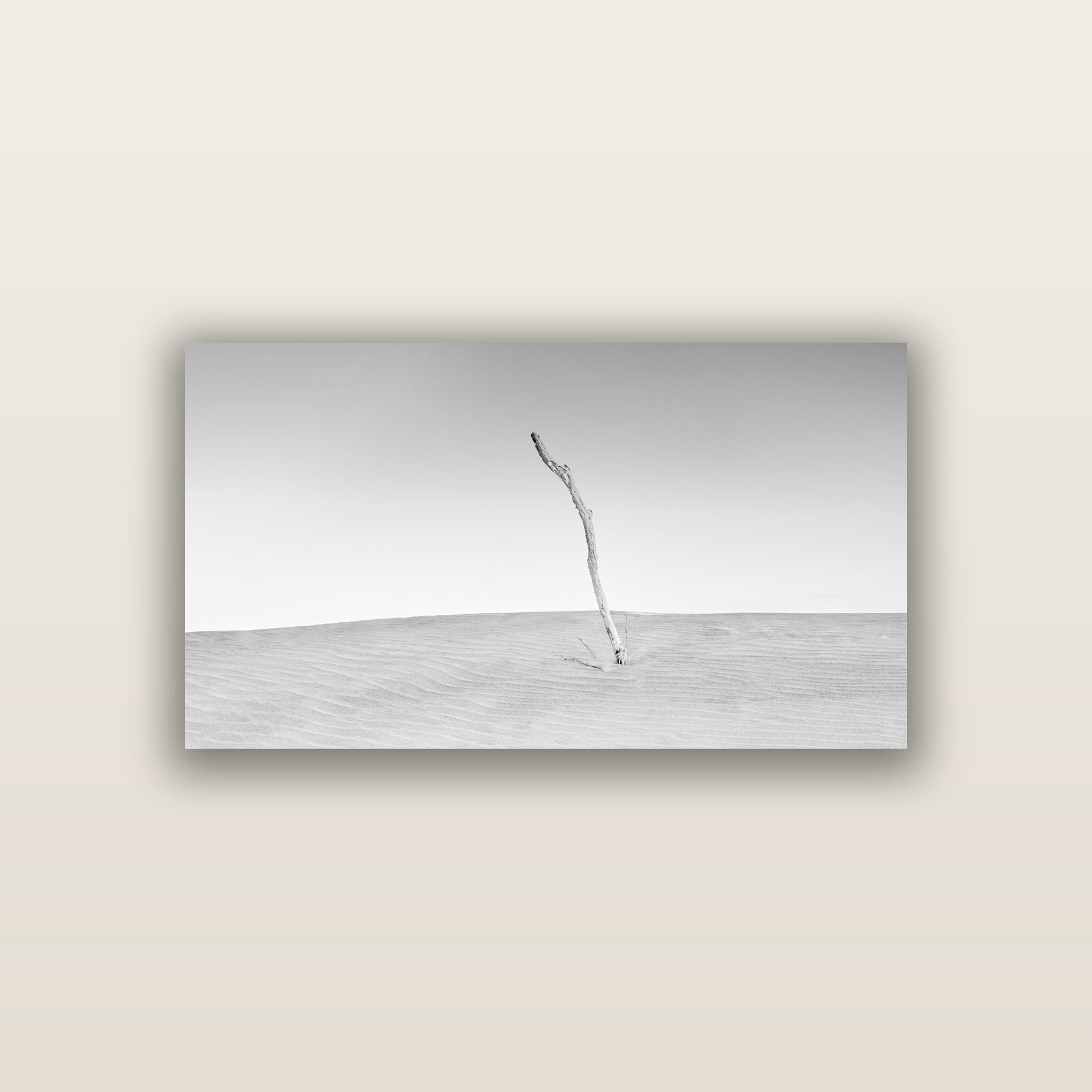 Twilight Reverie, Pouto Peninsula — acrylic panel print, small 76 × 38 cm. New Zealand fine art landscape wall art by Stephen Milner.