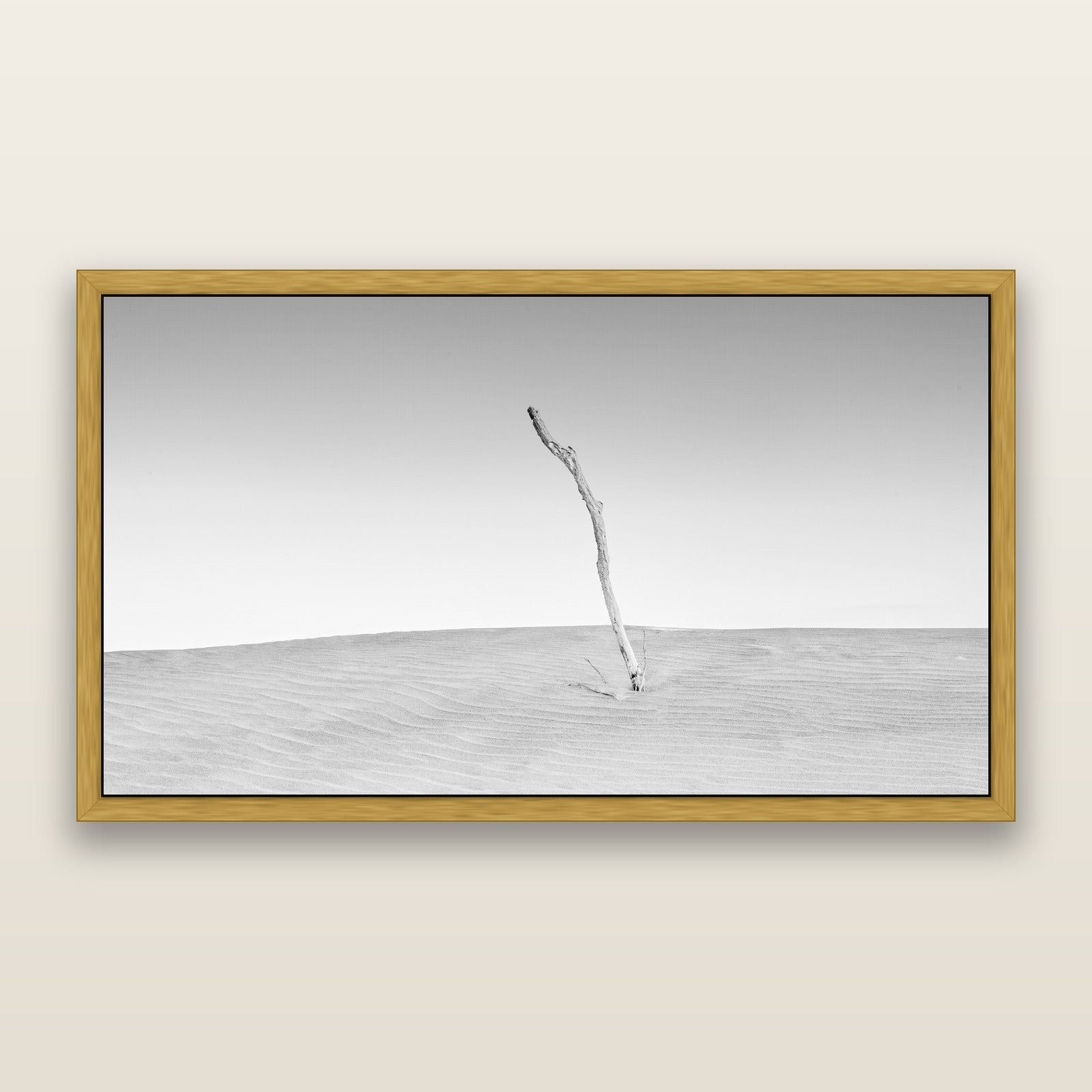 Twilight Reverie, Pouto Peninsula, black and white framed metallic canvas print, Antique Gold frame. New Zealand fine art wall art by Stephen Milner.
