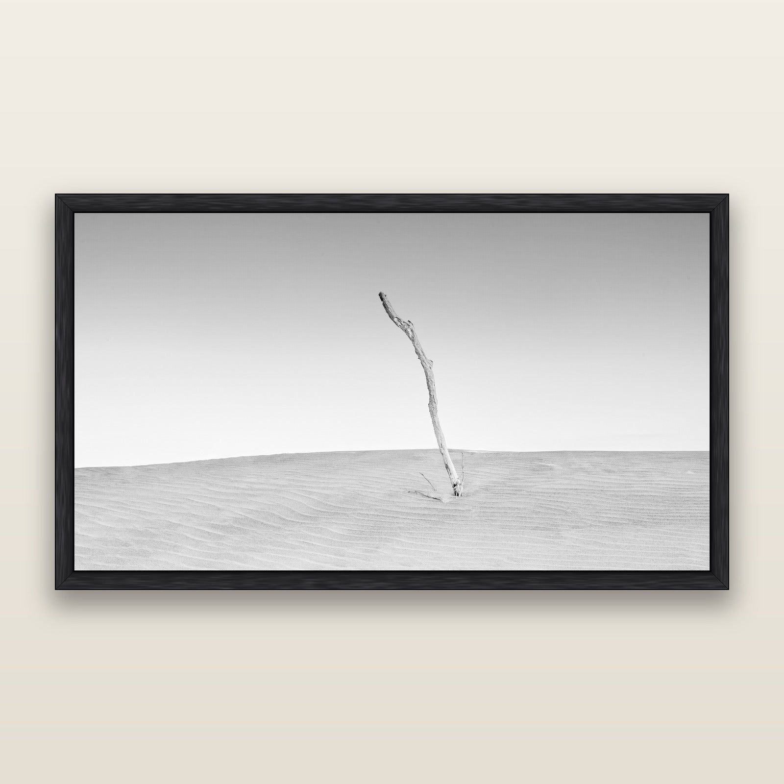 Twilight Reverie, Pouto Peninsula, black and white framed metallic canvas print, Black frame. New Zealand fine art wall art by Stephen Milner.