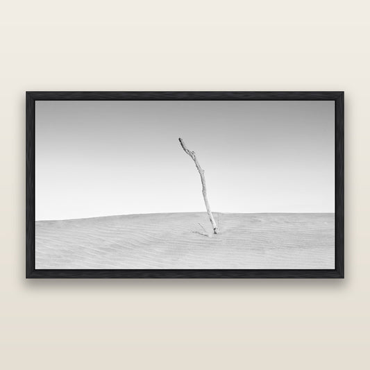 Twilight Reverie, Pouto Peninsula, black and white framed metallic canvas print, Black frame. New Zealand fine art wall art by Stephen Milner.
