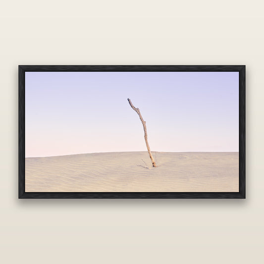 Twilight Reverie, Pouto Peninsular — framed metallic canvas print, Black frame. New Zealand fine art landscape wall art by Stephen Milner.