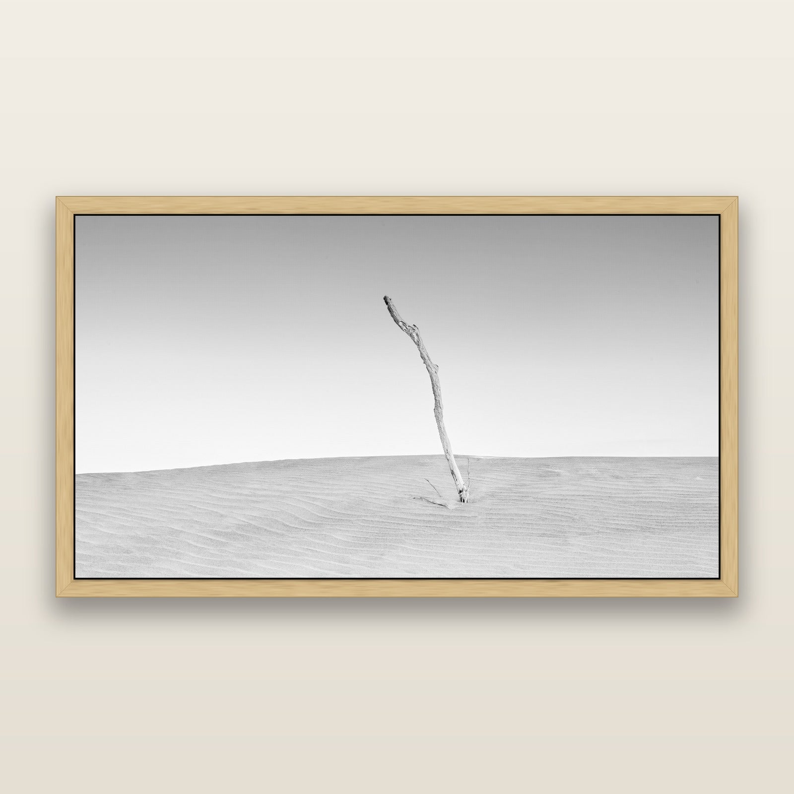 Twilight Reverie, Pouto Peninsula, black and white framed metallic canvas print, Natural frame. New Zealand fine art wall art by Stephen Milner.