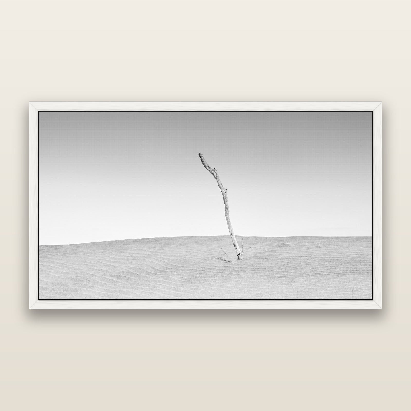 Twilight Reverie, Pouto Peninsula, black and white framed metallic canvas print, White frame. New Zealand fine art wall art by Stephen Milner.