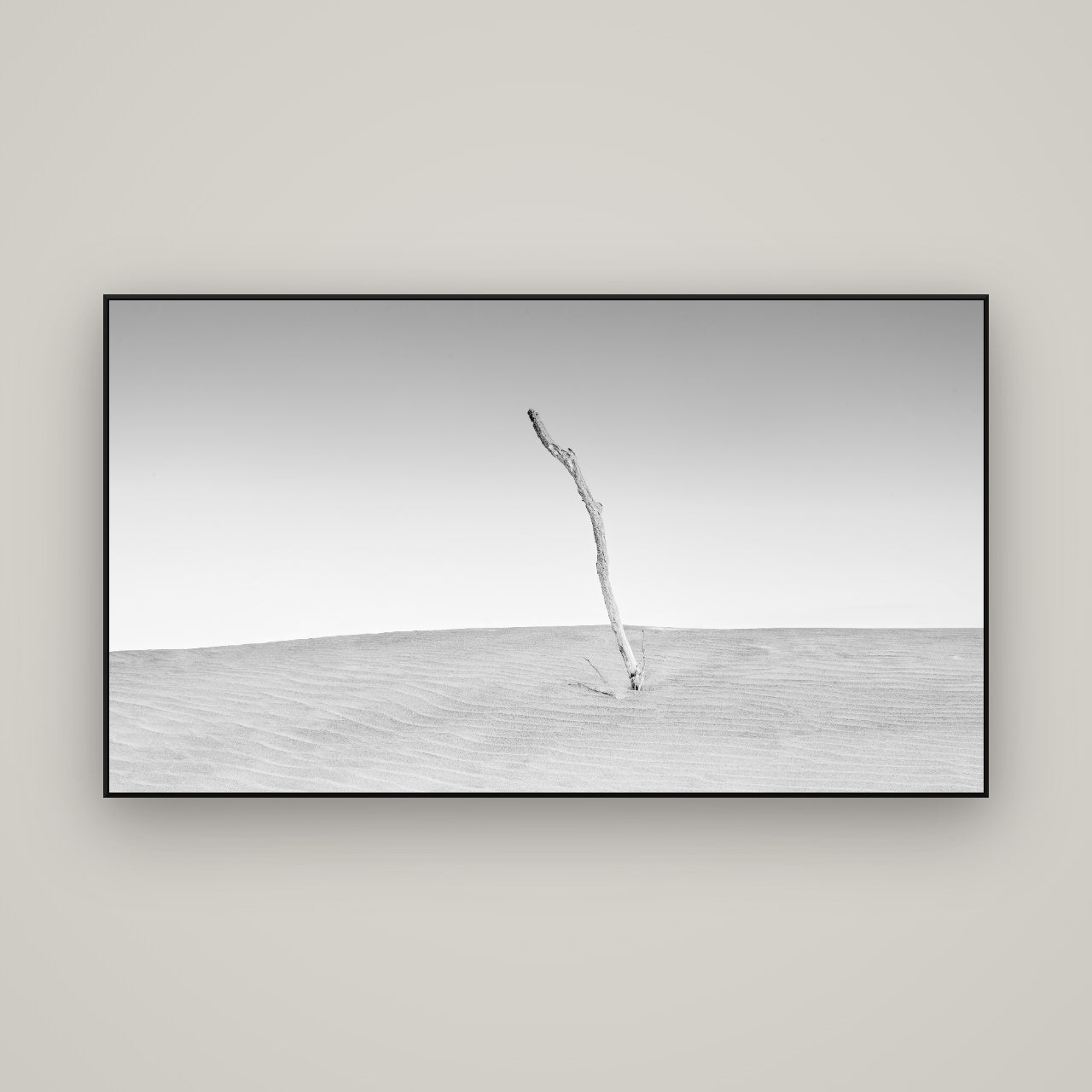 Twilight Reverie, Pouto Peninsula — ArtBox Black, 160×90 cm. New Zealand fine art wall art by Stephen Milner.