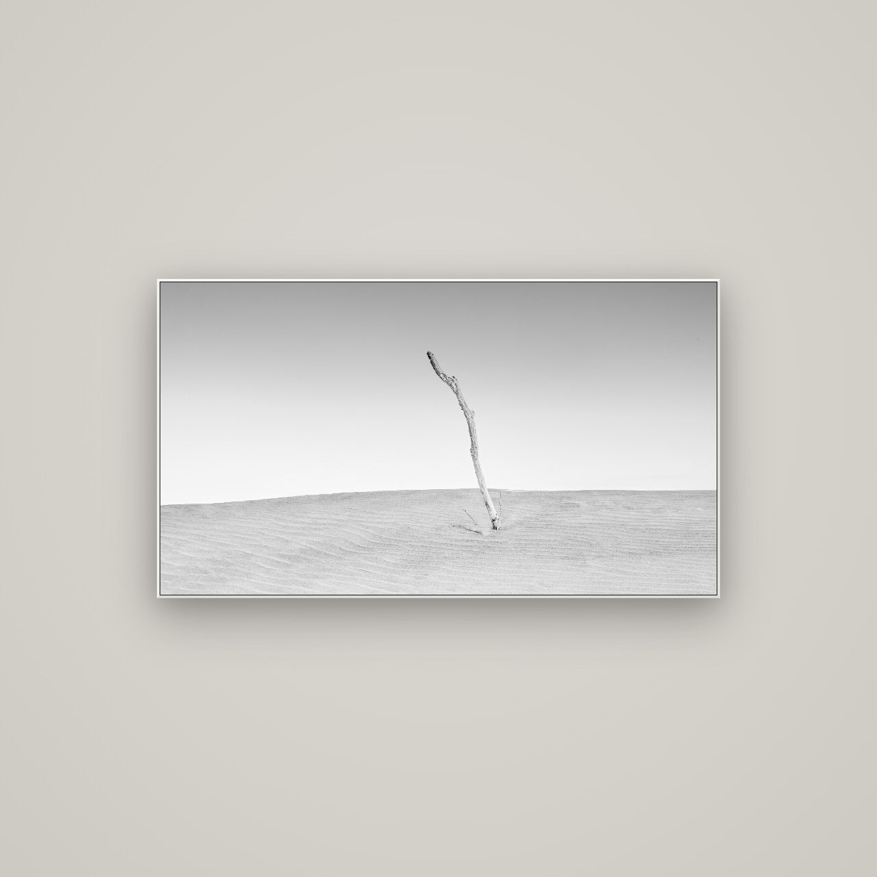 Twilight Reverie, Pouto Peninsula — ArtBox White, 107×60 cm. New Zealand fine art wall art by Stephen Milner.