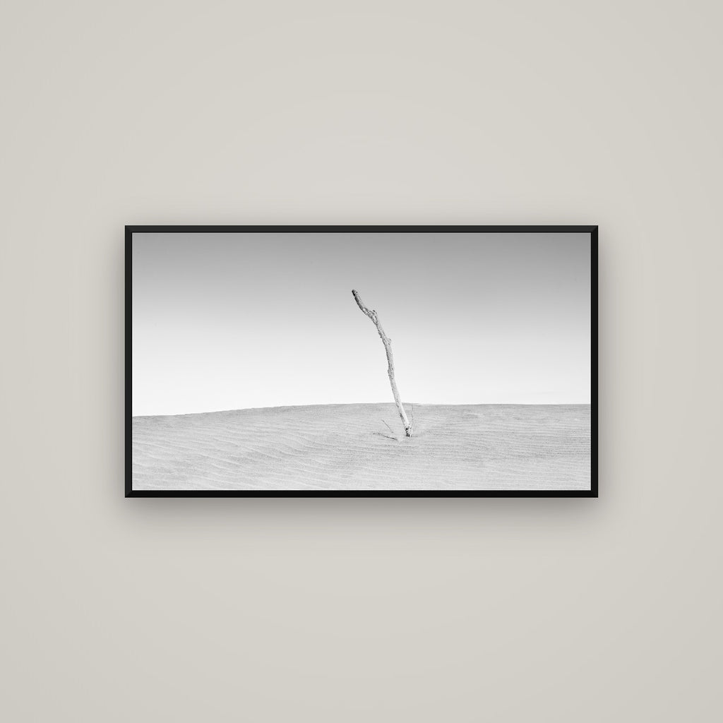 Twilight Reverie, Pouto Peninsula — Basel Black Matte, 107×60 cm. New Zealand fine art wall art by Stephen Milner.