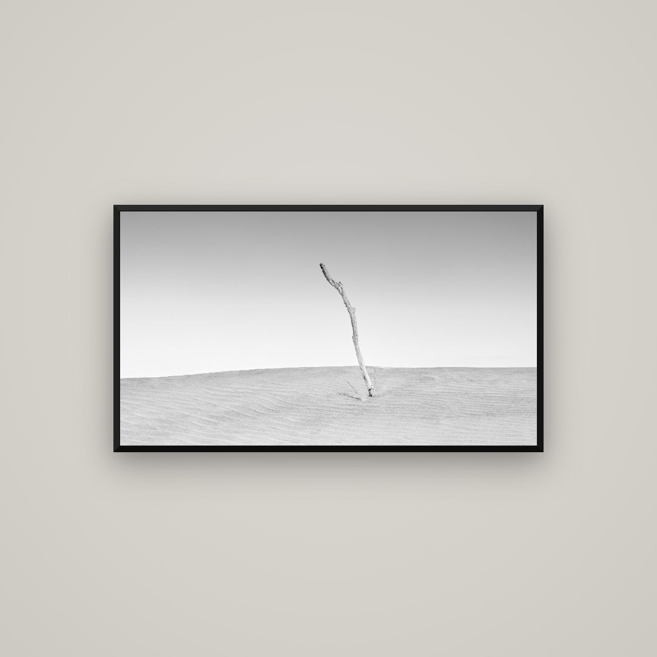 Twilight Reverie, Pouto Peninsula — Basel Black, 107×60 cm. New Zealand fine art wall art by Stephen Milner.
