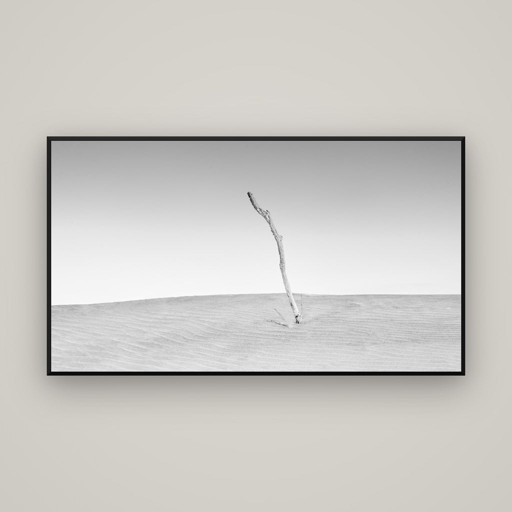 Twilight Reverie, Pouto Peninsula — Basel Black Matte, 160×90 cm. New Zealand fine art wall art by Stephen Milner.