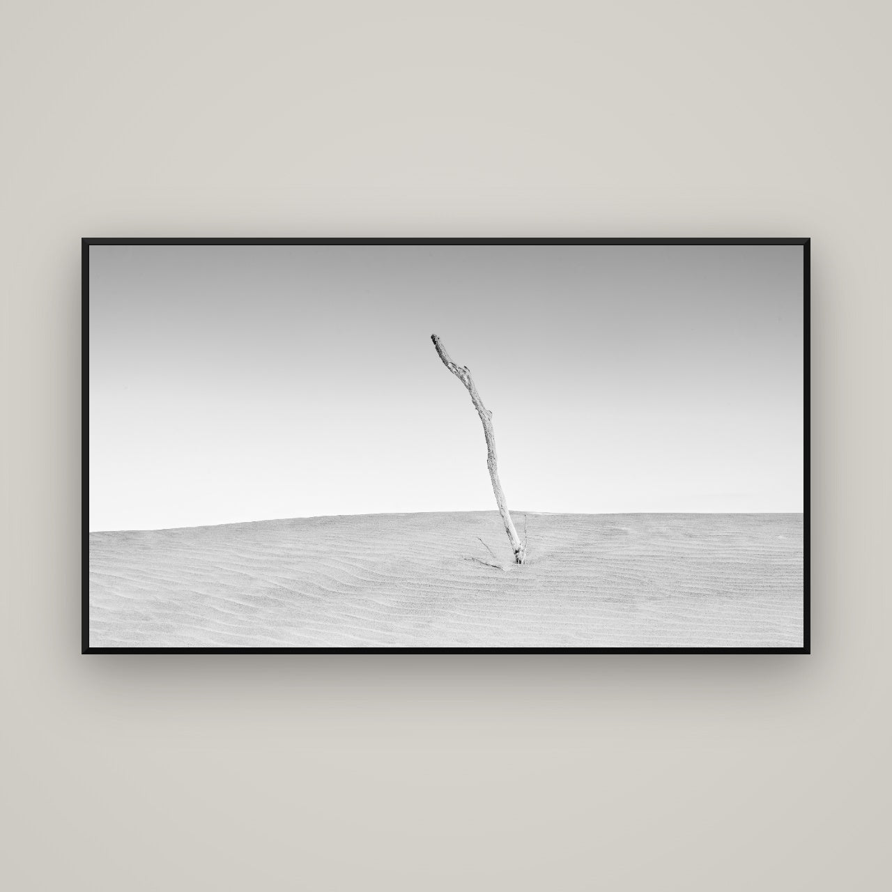 Twilight Reverie, Pouto Peninsula — Basel Black, 160×90 cm. New Zealand fine art wall art by Stephen Milner.
