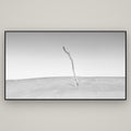 Twilight Reverie, Pouto Peninsula — Basel Black, 196×110 cm. New Zealand fine art wall art by Stephen Milner.