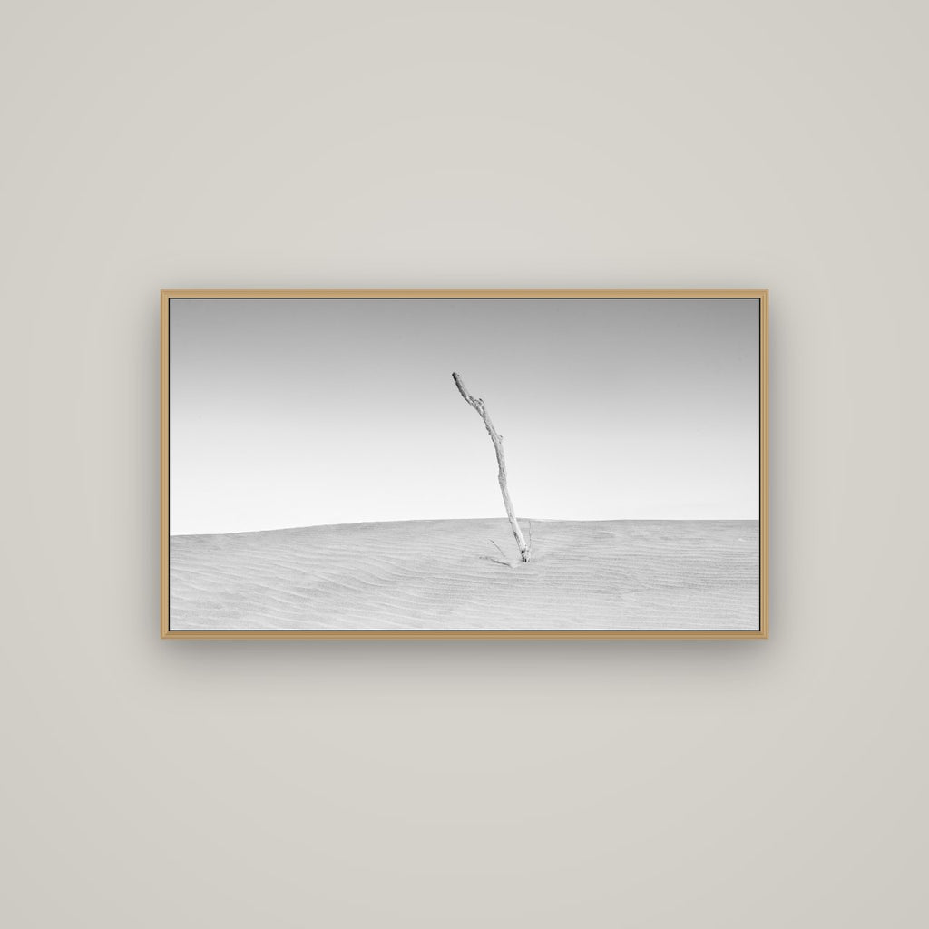 Twilight Reverie, Pouto Peninsula, Basel Natural Oak, 107×60 cm. New Zealand fine art photograph under matte acrylic glass.