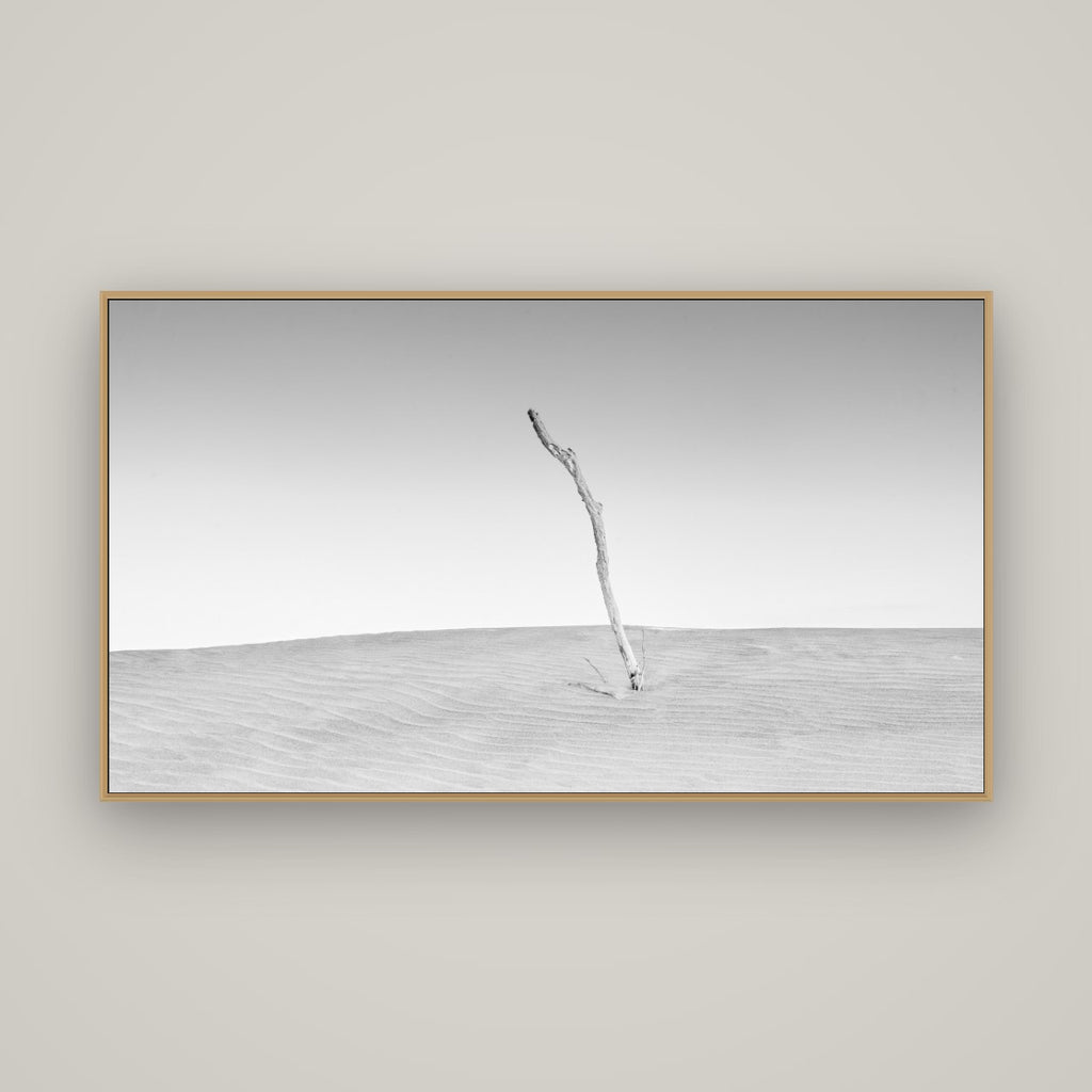 Twilight Reverie, Pouto Peninsula, Basel Natural Oak, 160×90 cm. New Zealand fine art photograph under matte acrylic glass.