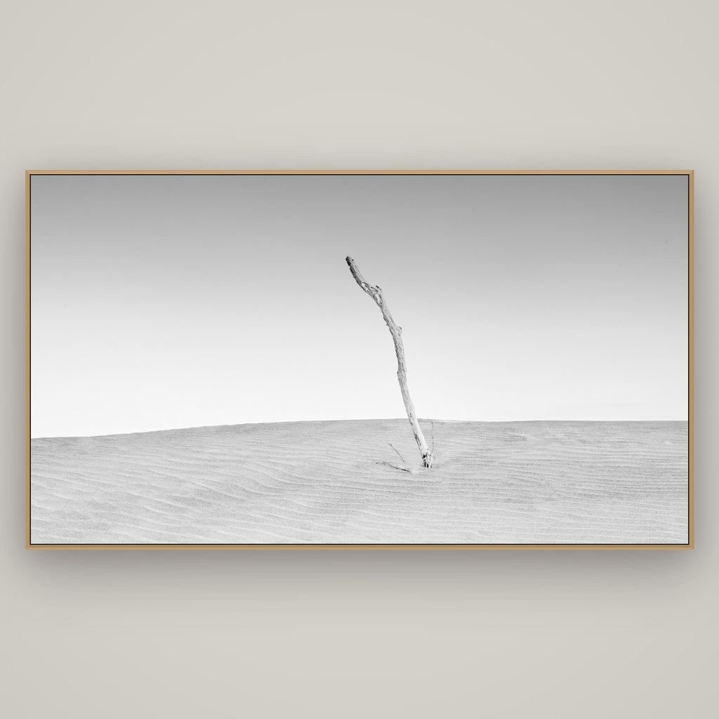 Twilight Reverie, Pouto Peninsula, Basel Natural Oak, 196×110 cm. New Zealand fine art photograph under matte acrylic glass.