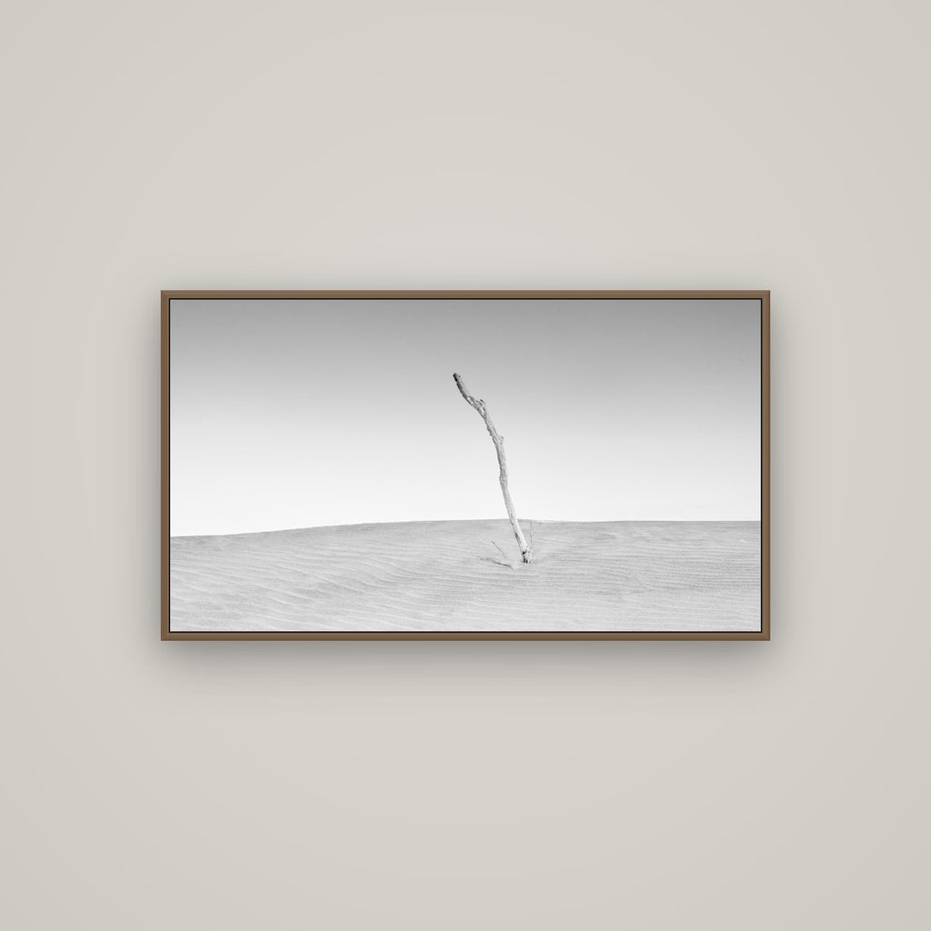 Twilight Reverie, Pouto Peninsula, Basel Walnut, 107×60 cm. New Zealand fine art photograph under matte acrylic glass.