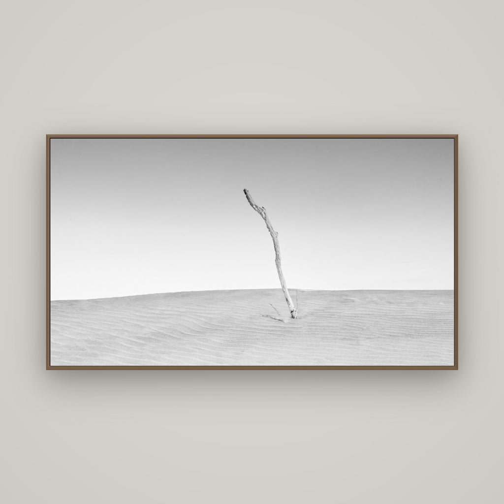 Twilight Reverie, Pouto Peninsula, Basel Walnut, 160×90 cm. New Zealand fine art photograph under matte acrylic glass.