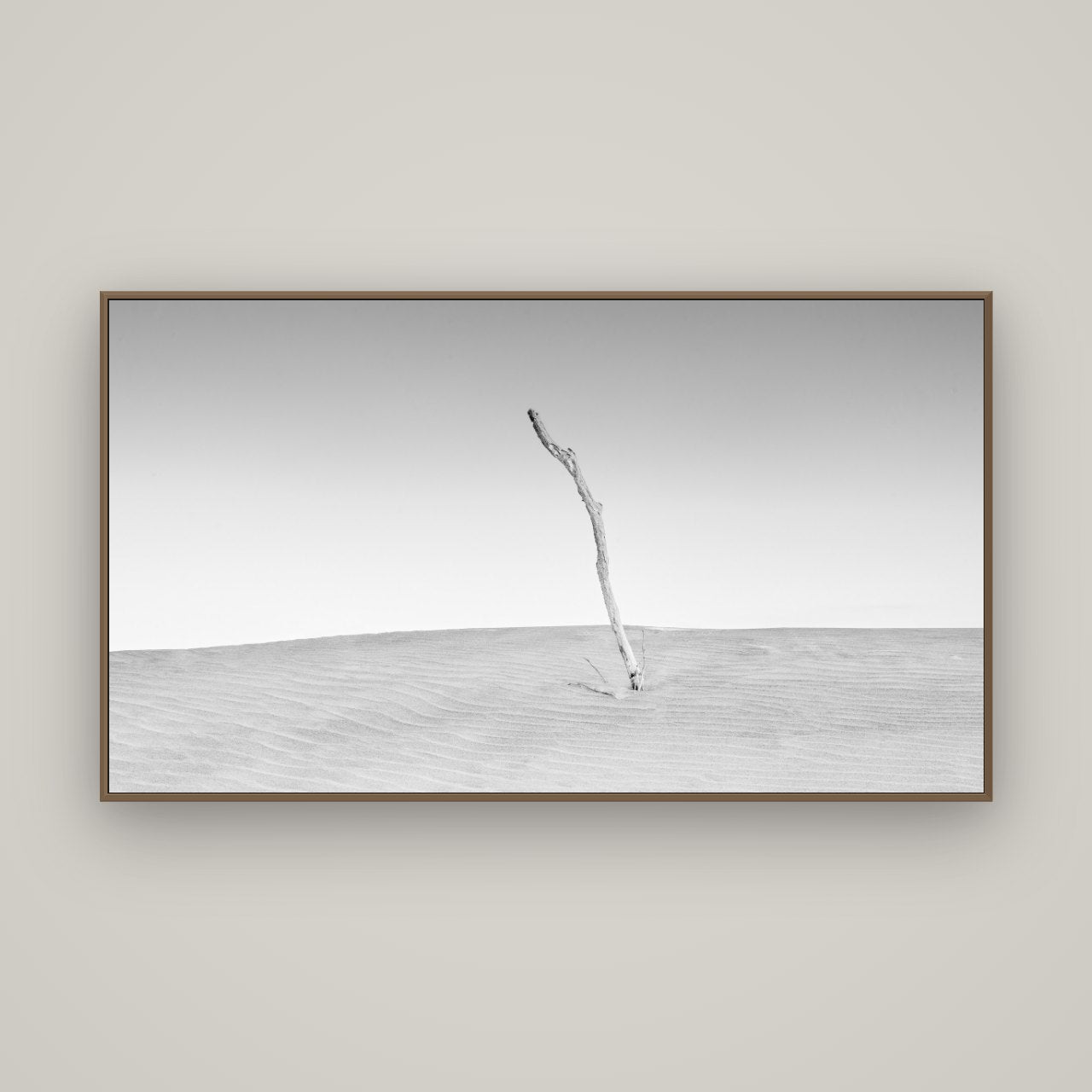 Twilight Reverie, Pouto Peninsula, Basel Walnut, 160×90 cm. New Zealand fine art photograph under matte acrylic glass.