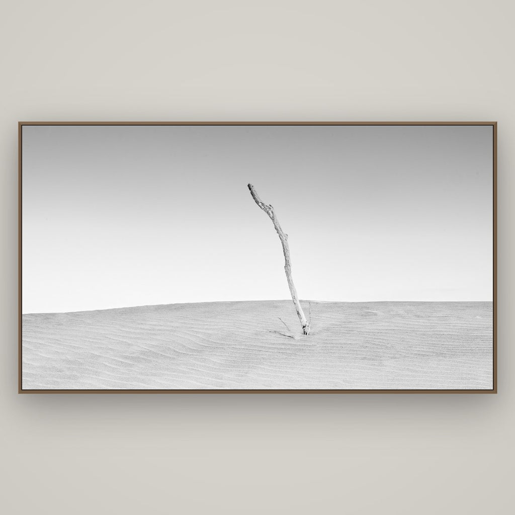 Twilight Reverie, Pouto Peninsula, Basel Walnut, 196×110 cm. New Zealand fine art photograph under matte acrylic glass.