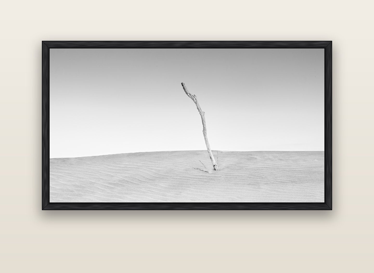 Twilight Reverie, Pouto Peninsula — black float frame canvas, 152 × 86 cm. New Zealand fine art landscape wall art by Stephen Milner.