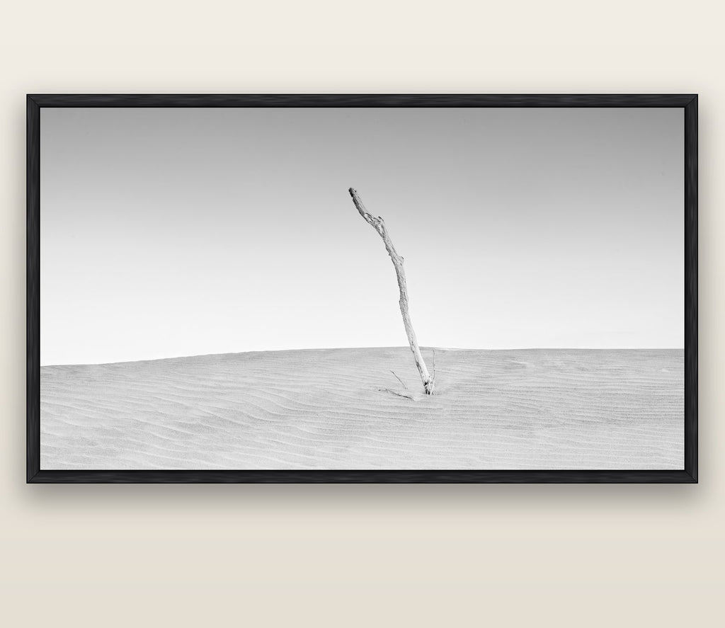 Twilight Reverie, Pouto Peninsula — black float frame canvas, 200 × 130 cm. New Zealand fine art landscape wall art by Stephen Milner.