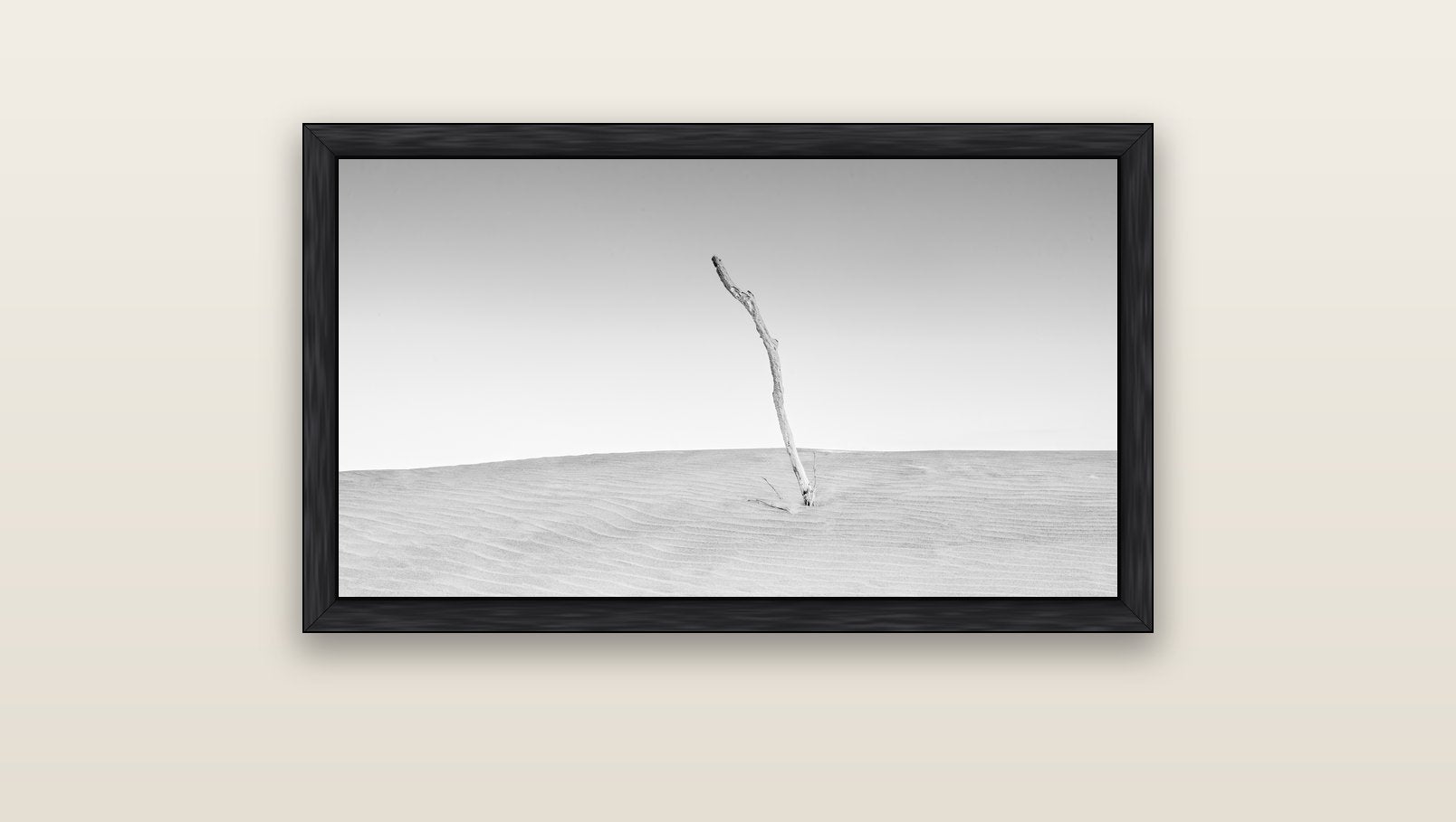Twilight Reverie, Pouto Peninsula — black float frame canvas, 91 × 51 cm. New Zealand fine art landscape wall art by Stephen Milner.