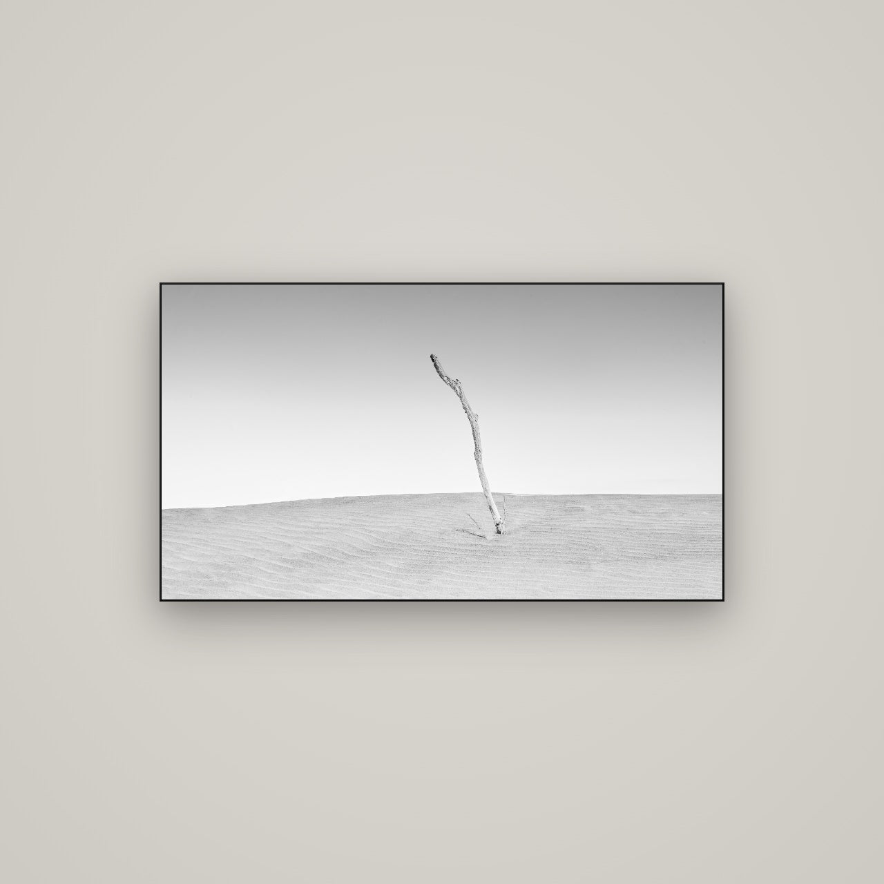 Twilight Reverie, Pouto Peninsula — Slimline Black, 107×60 cm. New Zealand fine art wall art by Stephen Milner.