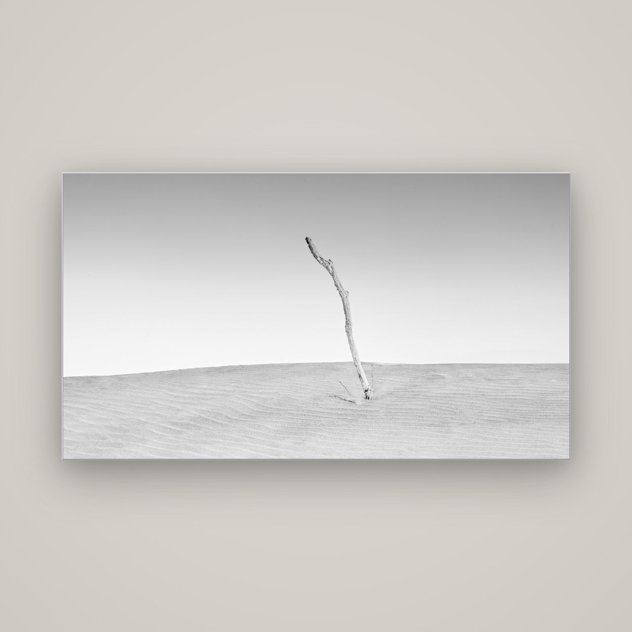 Twilight Reverie, Pouto Peninsula — Slimline Silver, 160×90 cm. New Zealand fine art wall art by Stephen Milner.