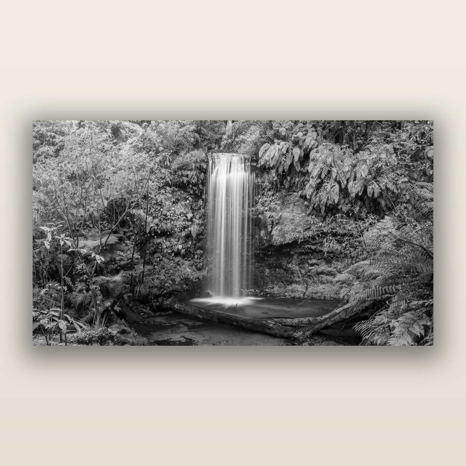 Veil of Serenity, Koropuku Falls, black and white frameless acrylic glass print. New Zealand fine art photography by Stephen Milner.