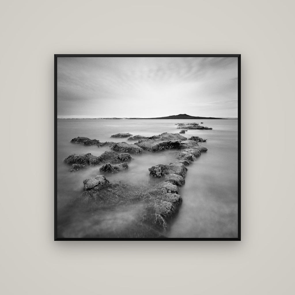 Volcanic Horizon, Auckland Harbour — Basel Black Matte, 100×100 cm. New Zealand fine art wall art by Stephen Milner.