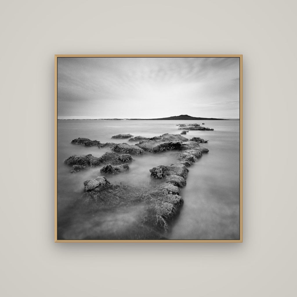 Volcanic Horizon, Auckland Harbour, Basel Natural Oak, 100×100 cm. New Zealand fine art wall art by Stephen Milner.