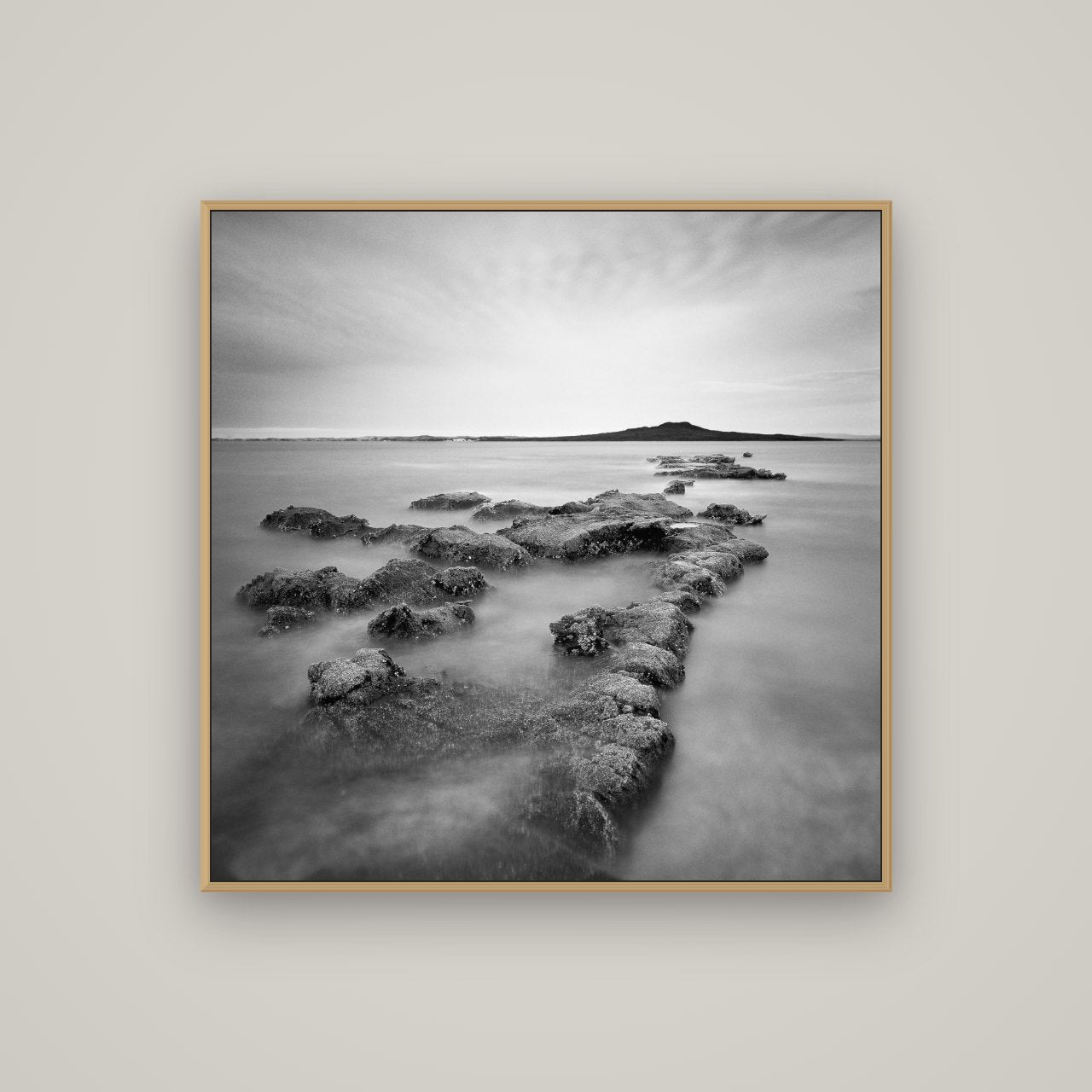 Volcanic Horizon, Auckland Harbour, Basel Natural Oak, 100×100 cm. New Zealand fine art wall art by Stephen Milner.