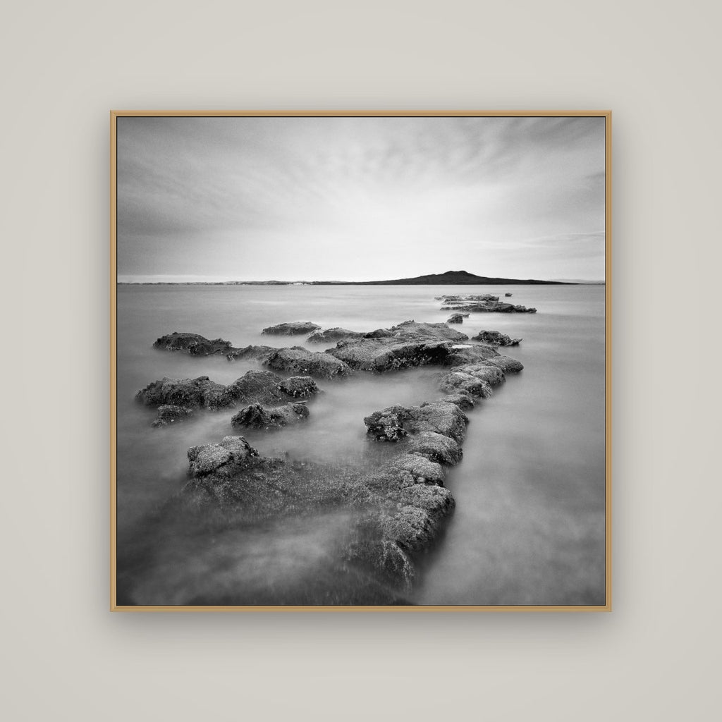 Volcanic Horizon, Auckland Harbour, Basel Natural Oak, 120×120 cm. New Zealand fine art wall art by Stephen Milner.