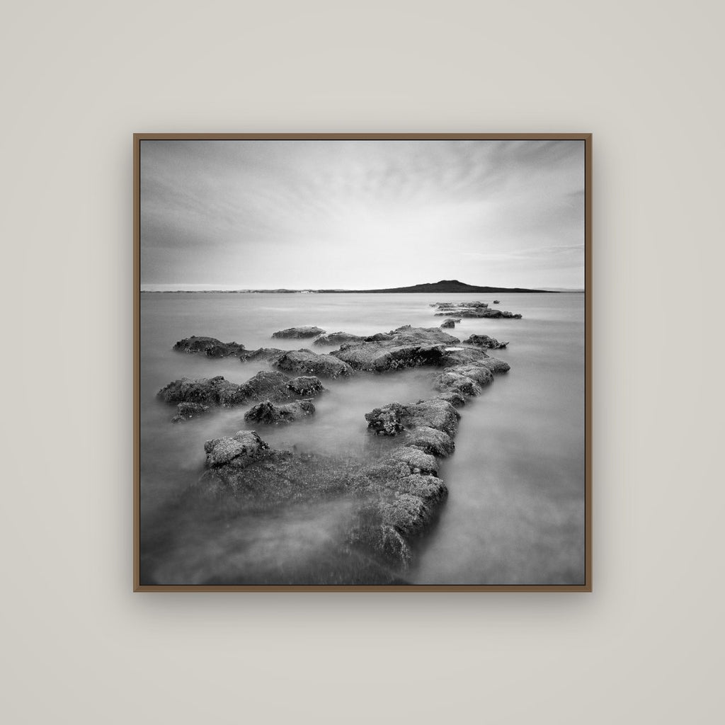 Volcanic Horizon, Auckland Harbour, Basel Walnut, 100×100 cm. New Zealand fine art wall art by Stephen Milner.