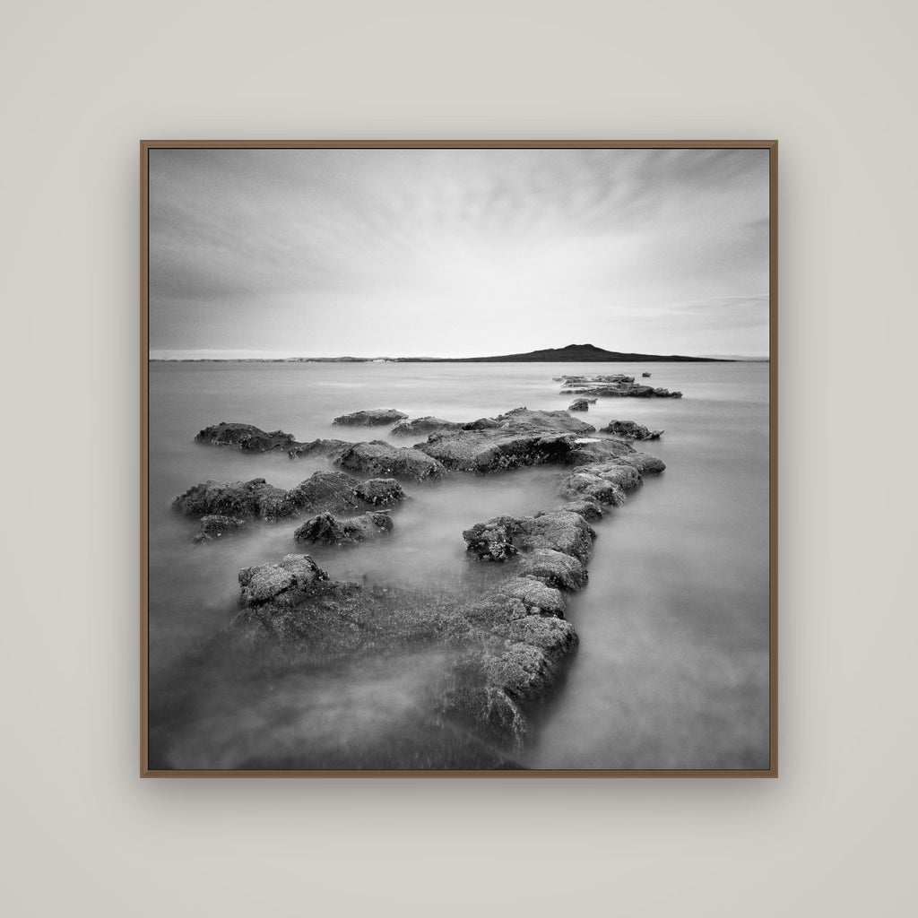 Volcanic Horizon, Auckland Harbour, Basel Walnut, 120×120 cm. New Zealand fine art wall art by Stephen Milner.