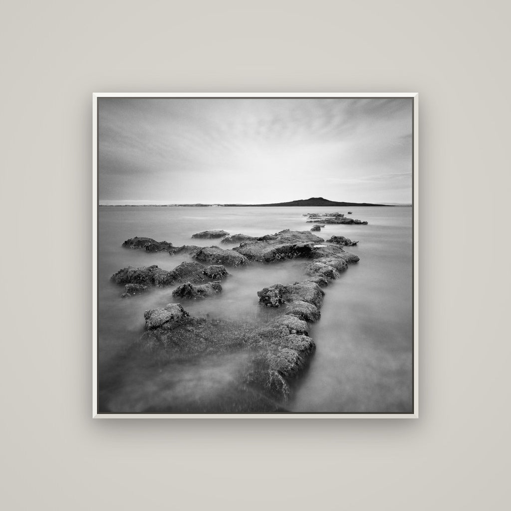 Volcanic Horizon, Auckland Harbour — Basel White, 100×100 cm. New Zealand fine art wall art by Stephen Milner.
