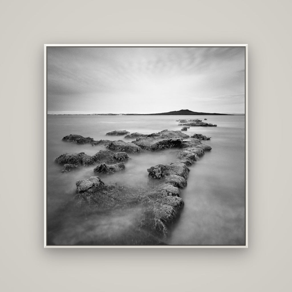 Volcanic Horizon, Auckland Harbour — Basel White, 120×120 cm. New Zealand fine art wall art by Stephen Milner.