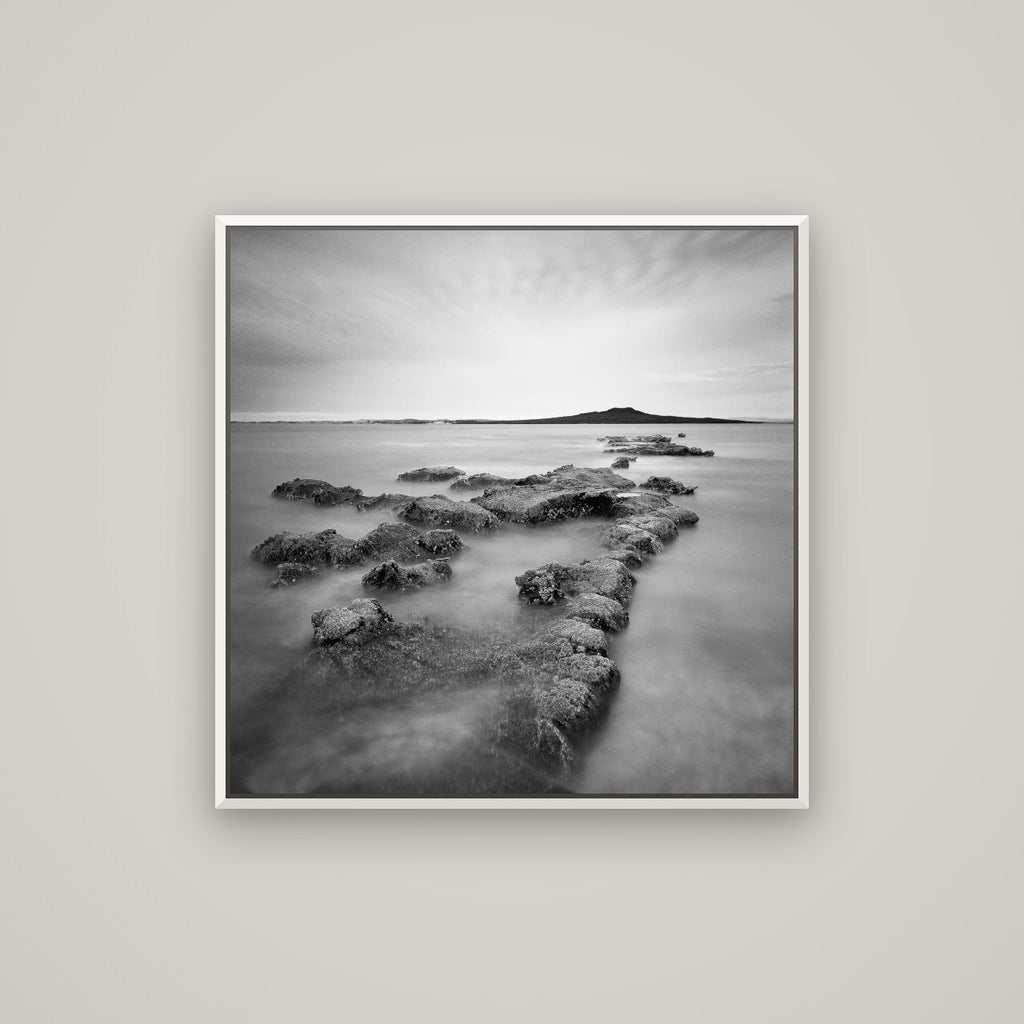 Volcanic Horizon, Auckland Harbour — Basel White, 80×80 cm. New Zealand fine art wall art by Stephen Milner.
