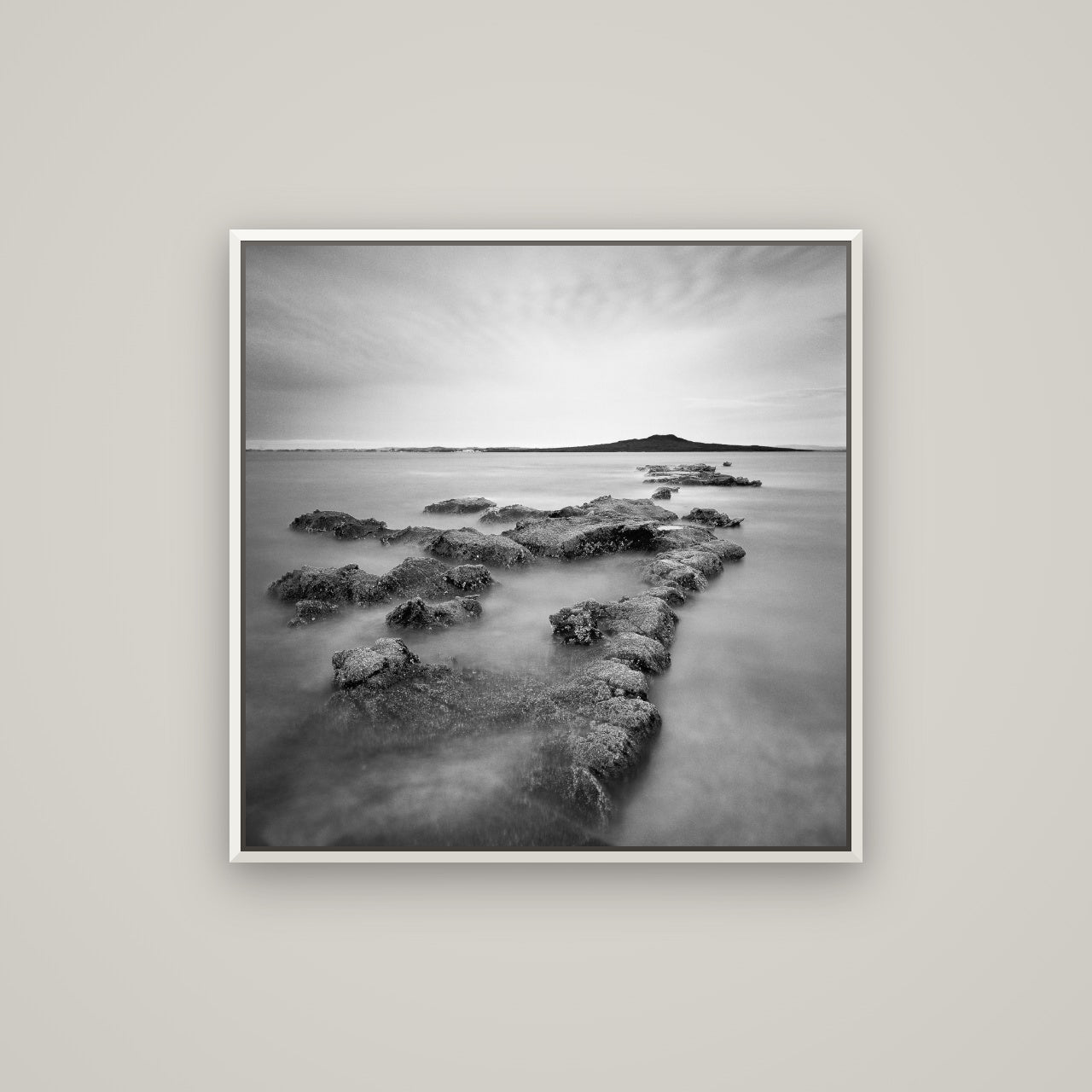 Volcanic Horizon, Auckland Harbour — Basel White, 80×80 cm. New Zealand fine art wall art by Stephen Milner.