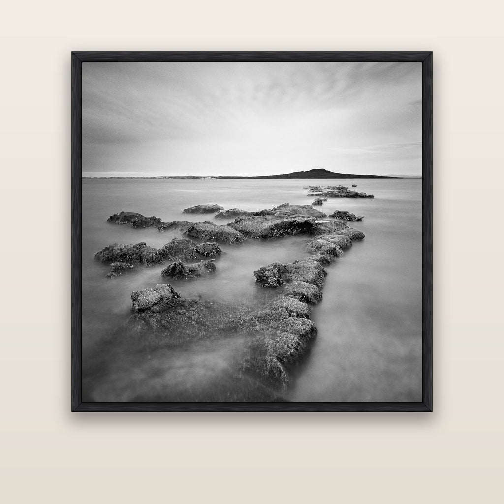 Volcanic Horizon, Auckland Harbour — black float frame canvas, 133 × 133 cm. New Zealand fine art landscape wall art by Stephen Milner.