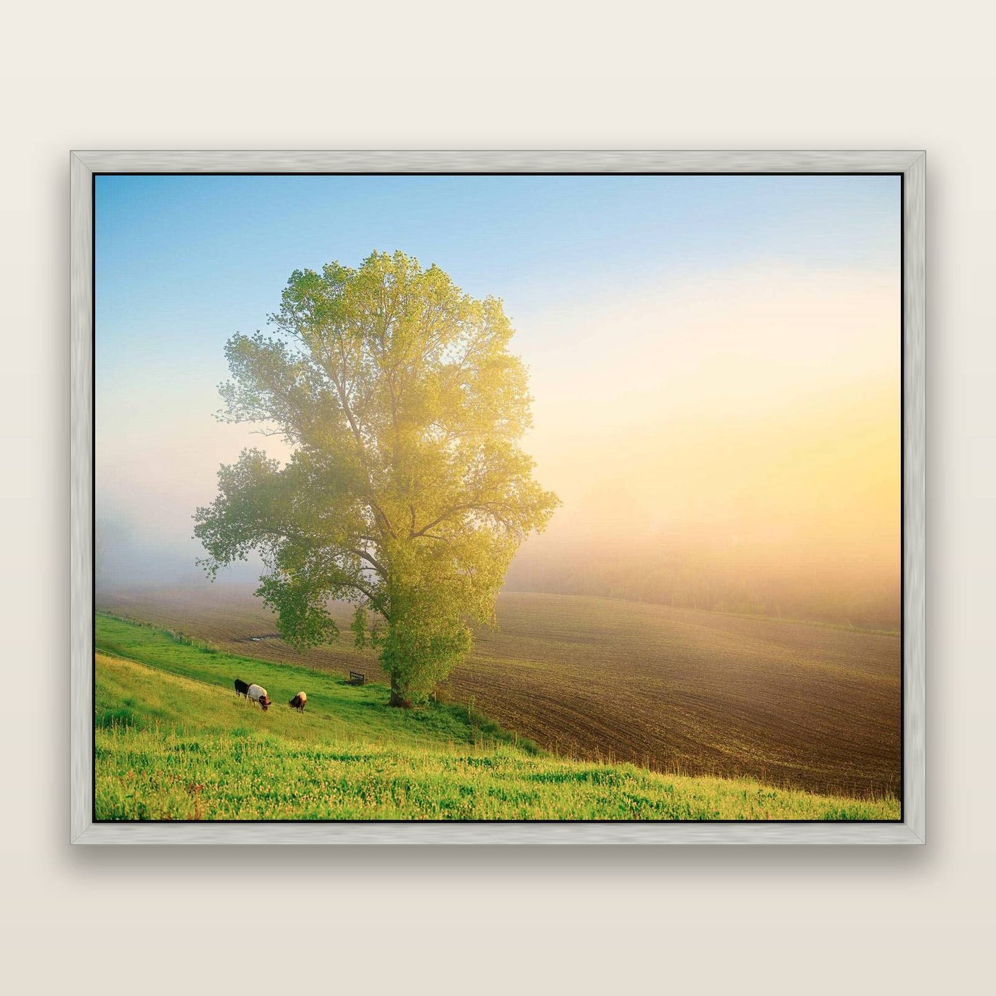 Field of Dreams, Waikato — framed metallic canvas print, Antique Silver frame. New Zealand fine art landscape wall art by Stephen Milner.
