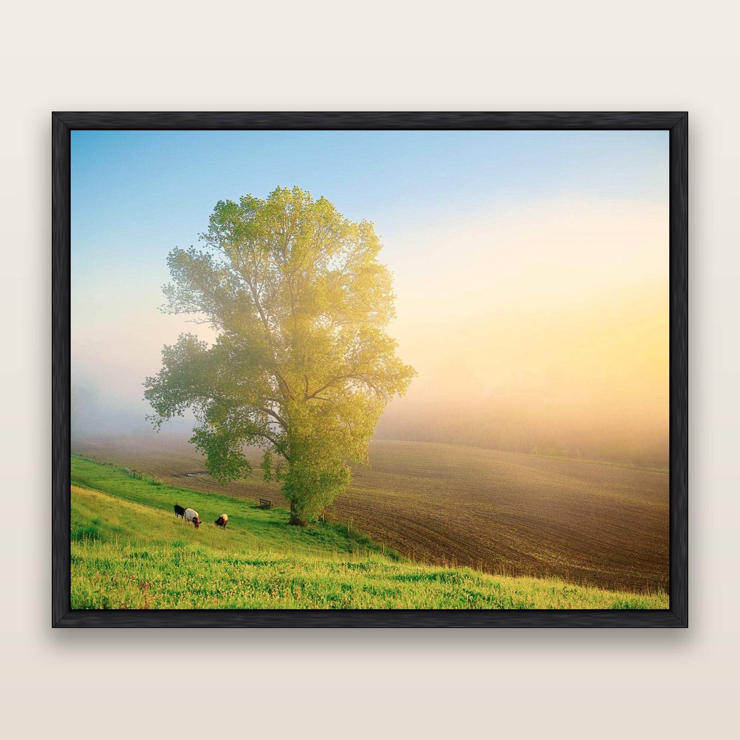 Field of Dreams, Waikato — framed metallic canvas print, Black frame. New Zealand fine art landscape wall art by Stephen Milner.