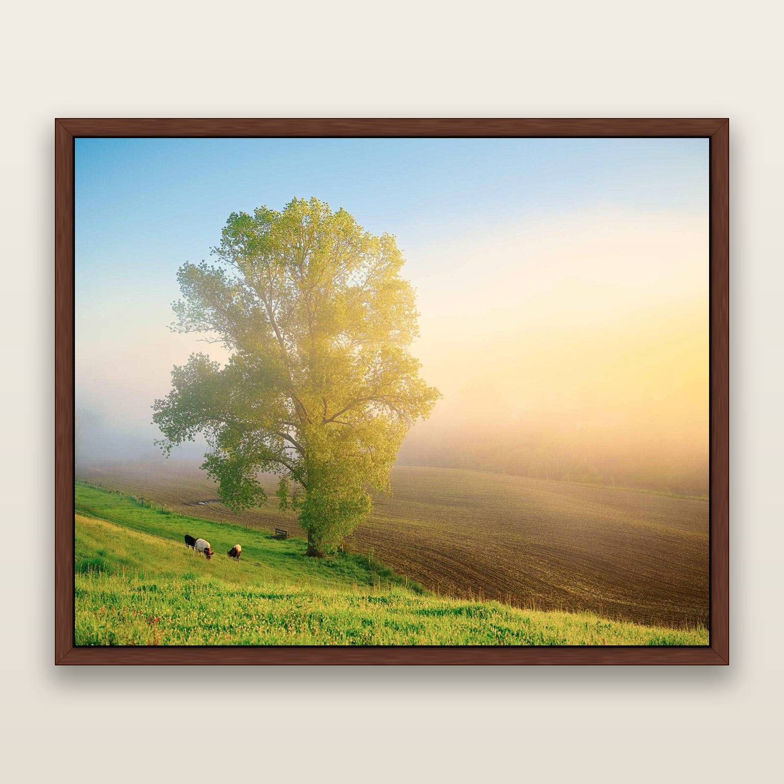 Field of Dreams, Waikato — framed metallic canvas print, Brown frame. New Zealand fine art landscape wall art by Stephen Milner.