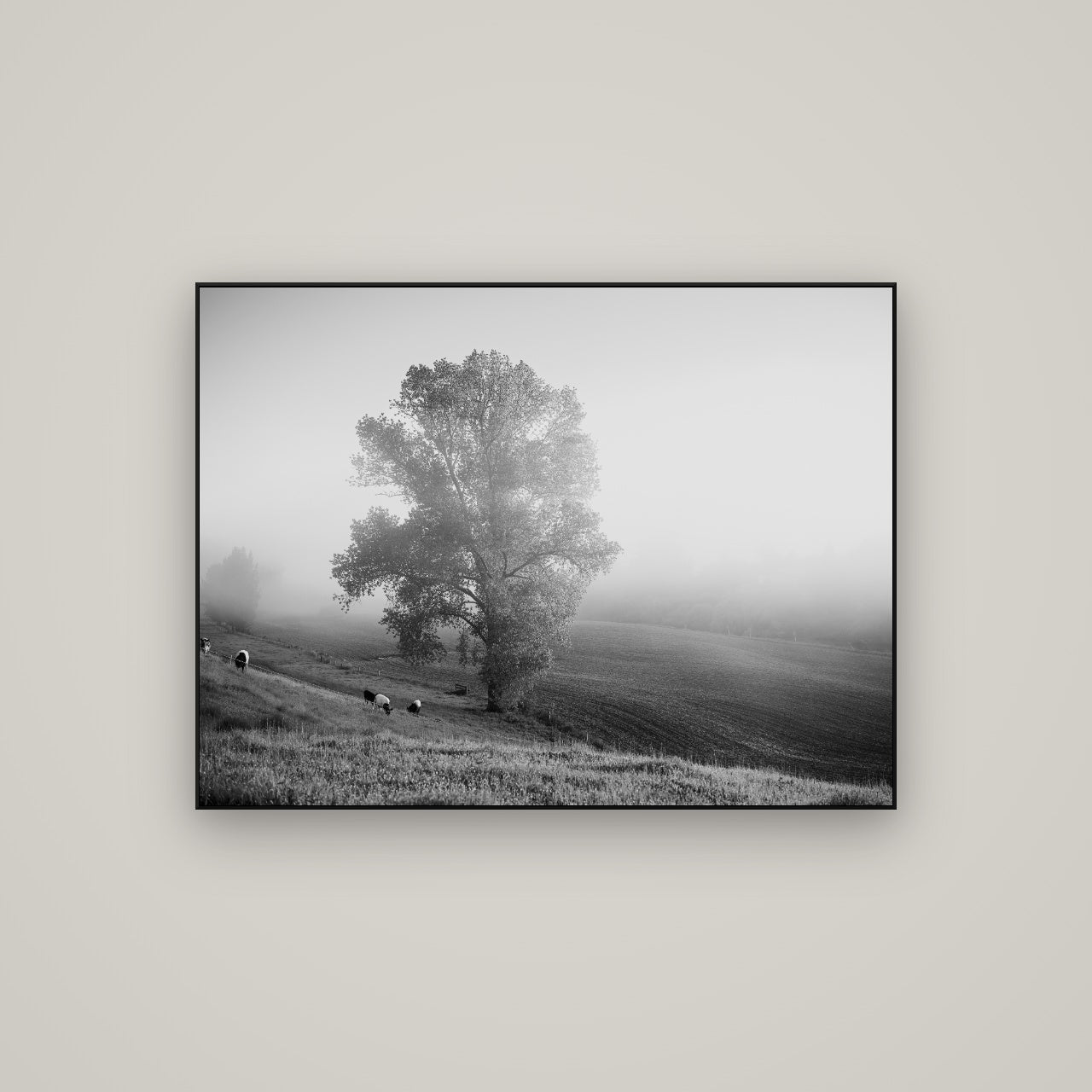 Field of Dreams, Waikato — ArtBox Black, 107×80 cm. New Zealand fine art wall art by Stephen Milner.